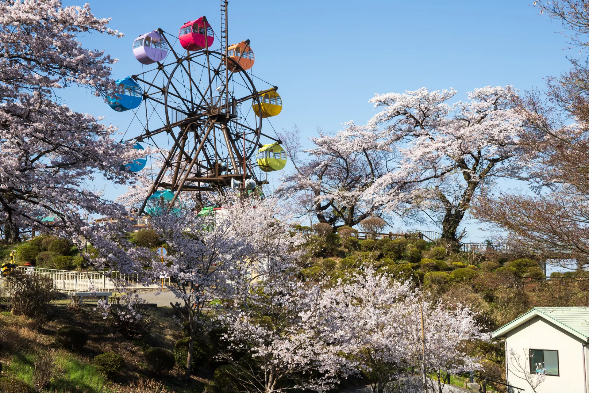 さくら祭りも開催される「千手山公園」
